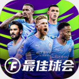 8x8小皇冠2020